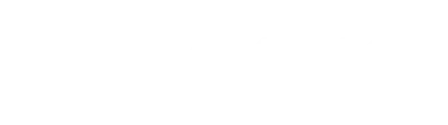 Pro Kirkkis